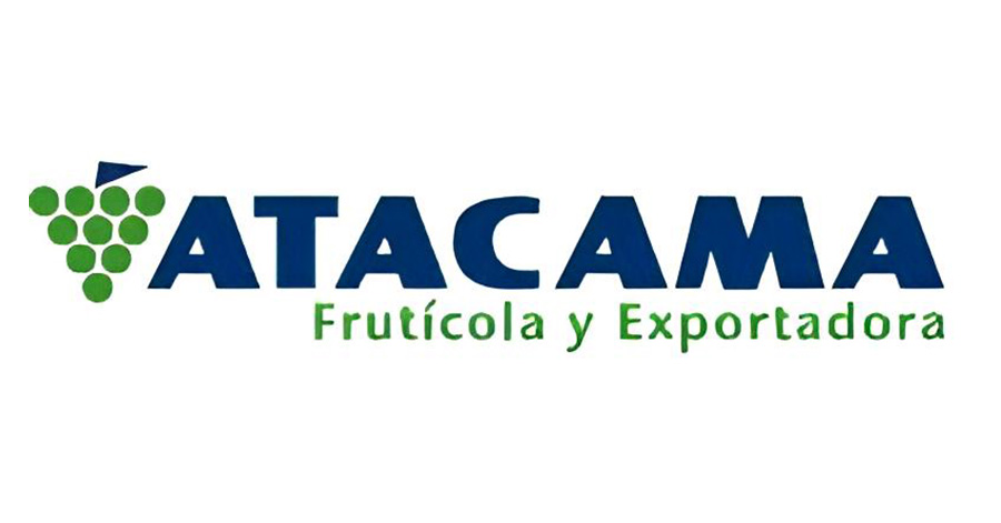 Logo 5