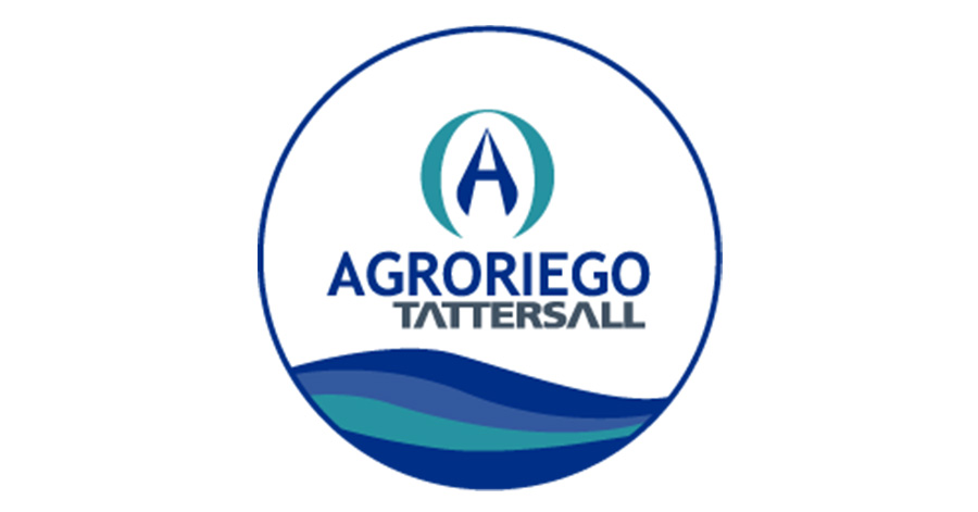 Logo 7