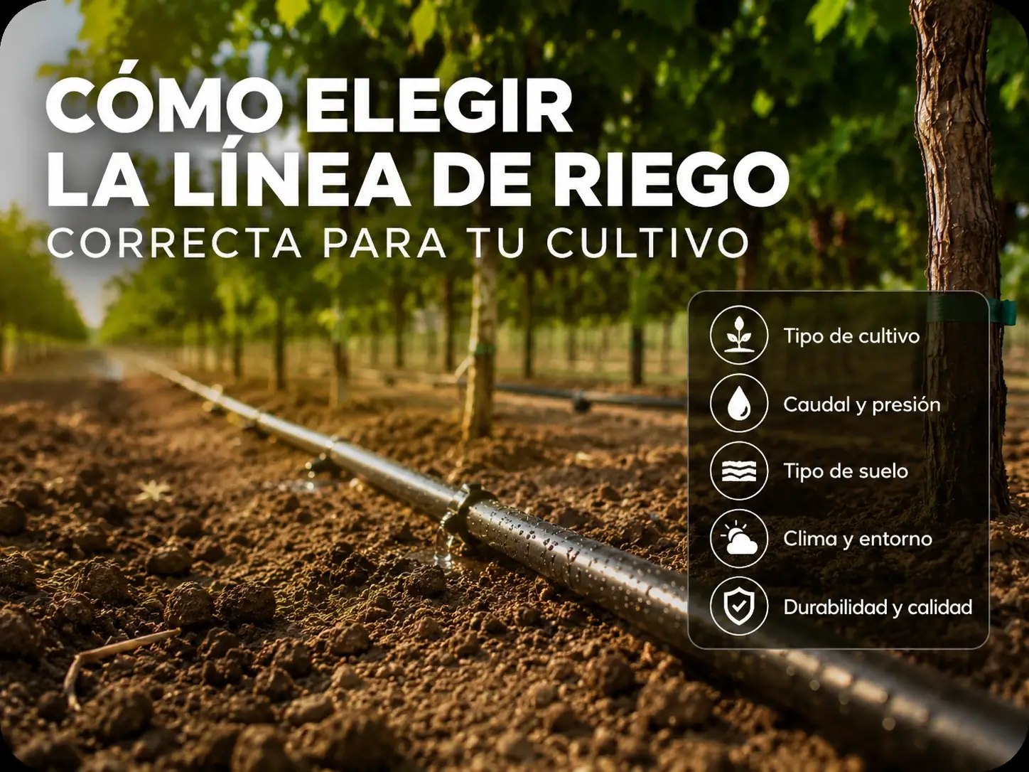Cómo elegir la línea de riego correcta para tu cultivo